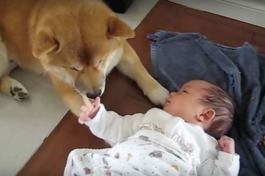 site de rencontre tagged fr